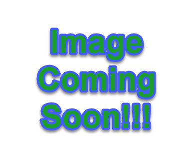 Taxus x media 'Wardii' C. M. Brown Nurseries Inc.