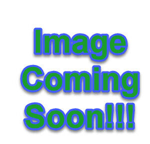 Hibiscus 'Vintage Wine' pp#27839